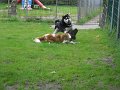 Afb_20160711 (37)
